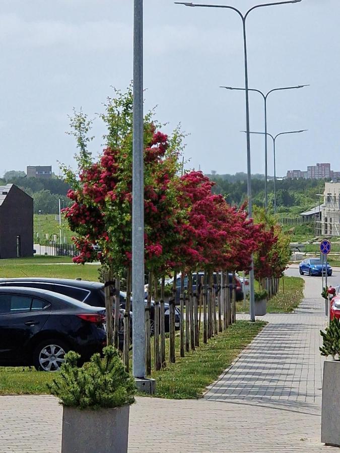 Apartamentai Ragaines Self Chec-In Free Parking Κλαϊπέντα Εξωτερικό φωτογραφία